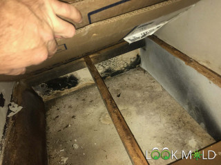 Black-Mold-Under-Vanity